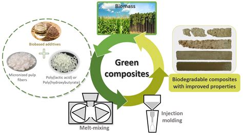  Xenocellulose-Hochleistungsverbundwerkstoff: Die Zukunft der Biobasierten Kunststoffe?