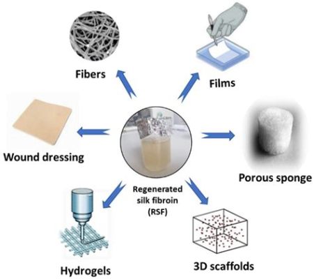  Silk fibroin – Ein biokompatibler Held für Tissue Engineering und pharmazeutische Anwendungen!