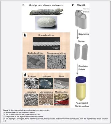 Silk fibroin - Revolutionär für Implantate und Textilveredelung!