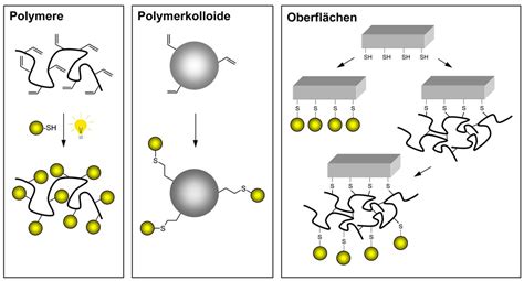  Vinylpyridin – Ein wahrer Alleskönner für Polymer-Modifizierung und Katalysator-Entwicklung?